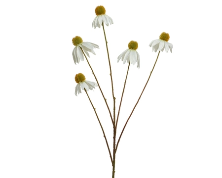 Cornflower White - image 1
