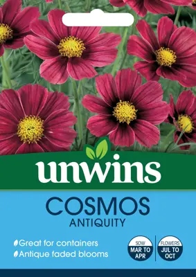 Cosmos Antiquity - image 2