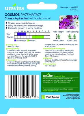 Cosmos Razzmatazz - image 2