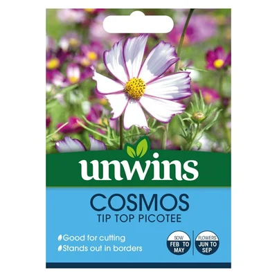 Cosmos 'Tip Top Picotee'