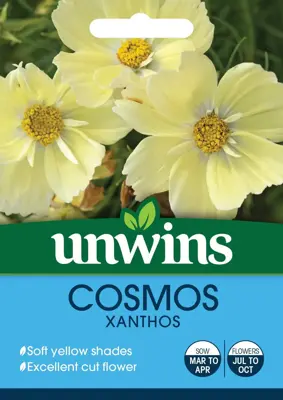 Cosmos Xanthos
