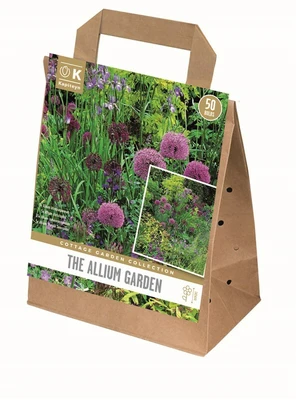 Cottage Garden Allium Garden X50