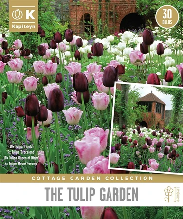 Cottage Garden Tulip Garden X30