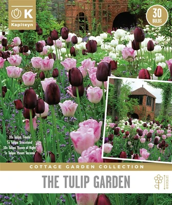 Cottage Garden Tulip Garden X30