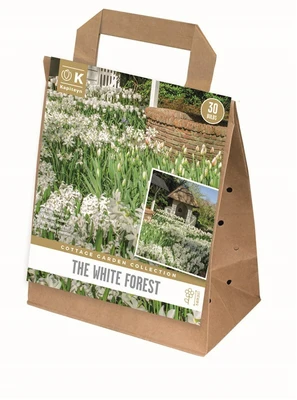 Cottage Garden White Forest X30