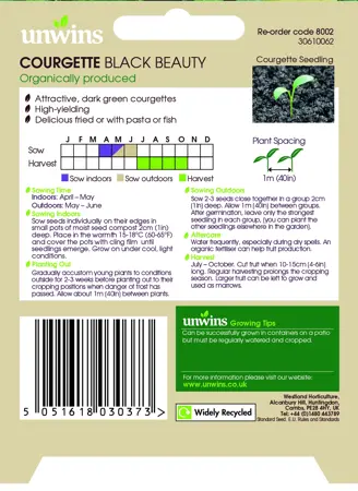 Courgette Black Beauty (Organic) - image 2