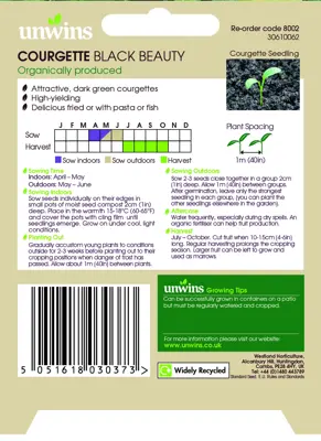 Courgette Black Beauty (Organic) - image 2
