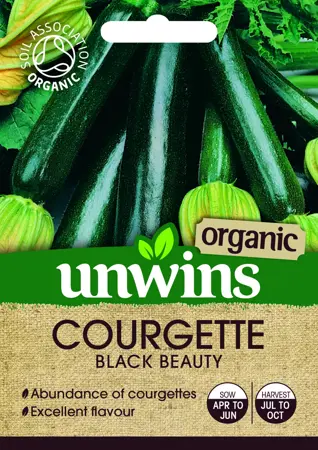 Courgette Black Beauty (Organic) - image 1
