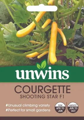 Courgette Shooting Star F1