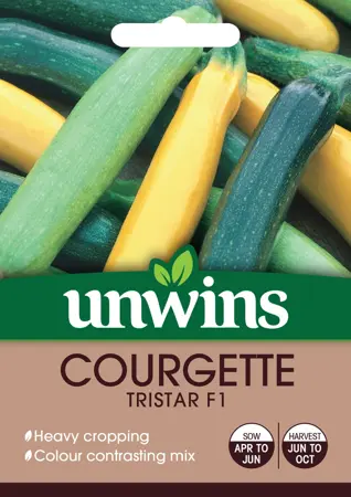 Courgette Tristar F1 - image 1