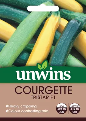 Courgette Tristar F1 - image 2