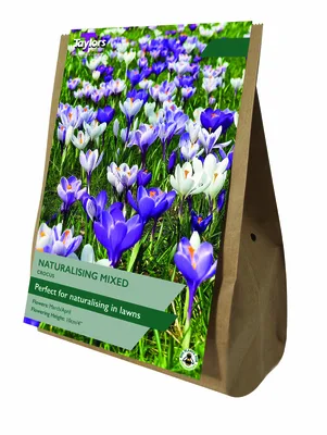 Crocus Naturalising Mixed Value Bag