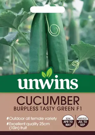 Cucumber Burpless F1