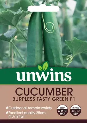 Cucumber Burpless F1