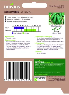 Cucumber (Mini) La Diva F1 - image 2