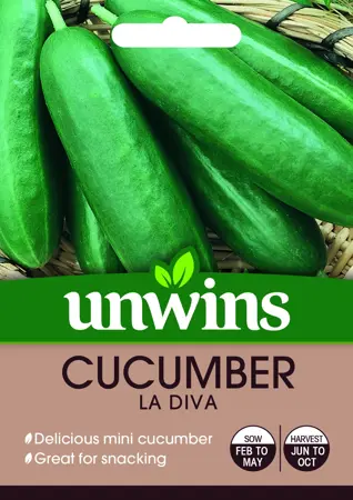 Cucumber (Mini) La Diva F1 - image 1