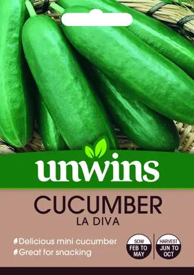 Cucumber (Mini) La Diva F1 - image 2