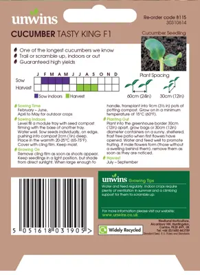 Cucumber Tasty King F1 - image 2