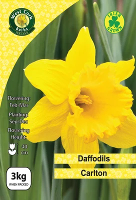 Daffodil Carlton 3kg