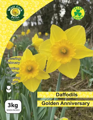 Daffodil Golden Anniversary 3kg