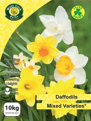 Daffodil Mixed 10kg