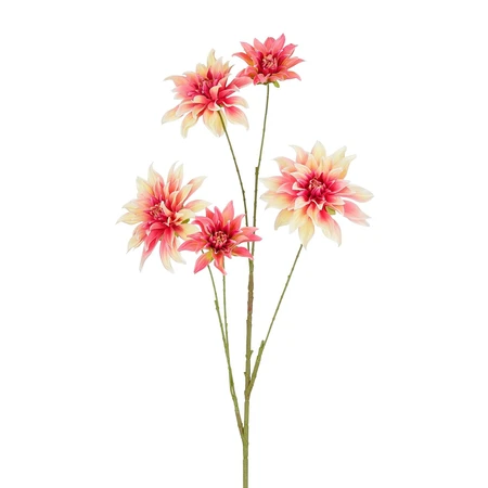 Dahlia Pink Leafless - L109Cm