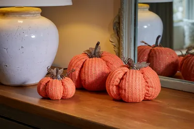 DécorPumpkin - Regular - image 3