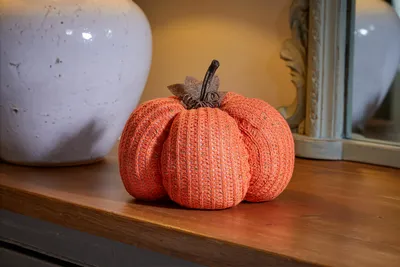 DécorPumpkin - XL - image 1