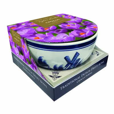 Delft Bowl Crocus Flower Record 7-8