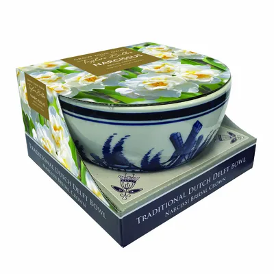 Delft Bowl Narcissus Bridal Crown 12-14