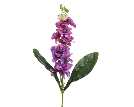 Delphinium Lilac - image 1