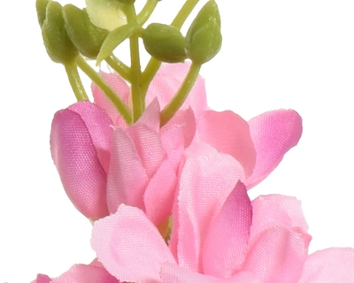 Delphinium Pink - image 2