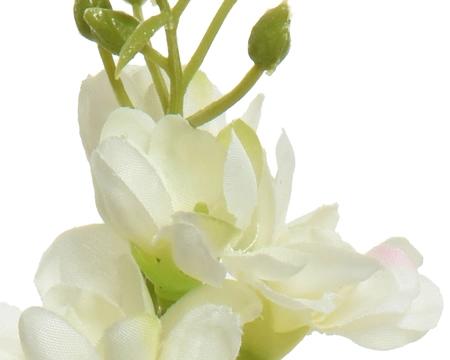 Delphinium White - image 2