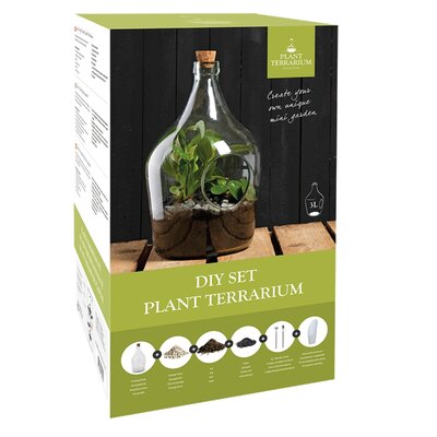DIY Set open terrarium bottle 3l