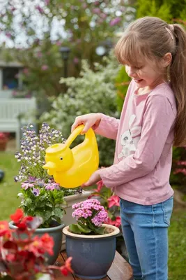 DuckCan  FSDU  - Kids - image 1