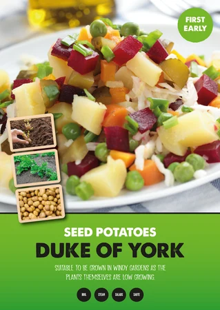 Duke Of York 2kg