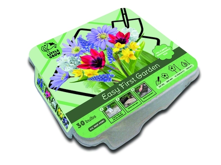 Easy First Garden Bright