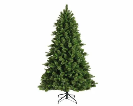 Edmonton Spruce 7Ft