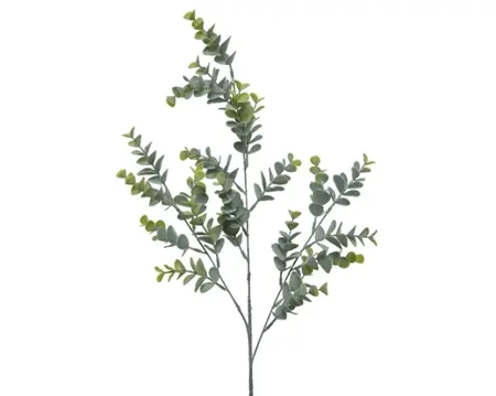 Eucalypthus On Stem Plastic Plastic Stem  H73.00cm grey green