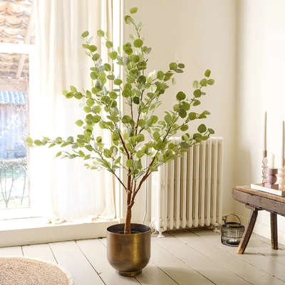 Eucalypthus Pe Green L65-W50-H150cm - image 2