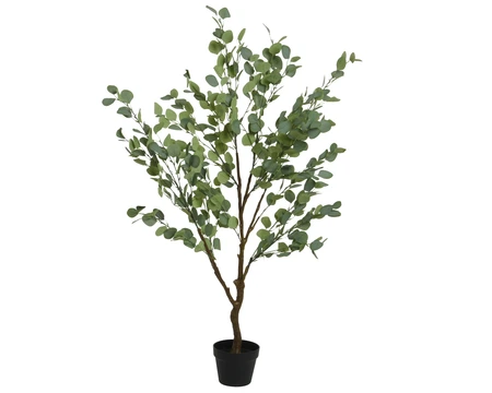 Eucalypthus Pe Green L65-W50-H150cm - image 1