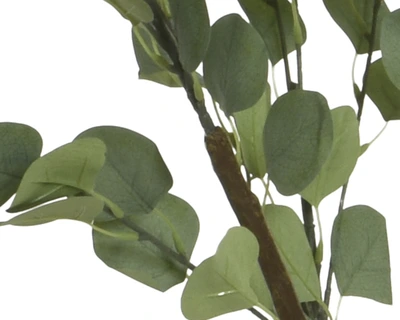 Eucalypthus Pe Green L65-W50-H150cm - image 3