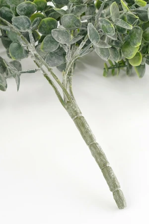 Eucalyptus Hanging Green - L78Xw22Xh5Cm - image 4