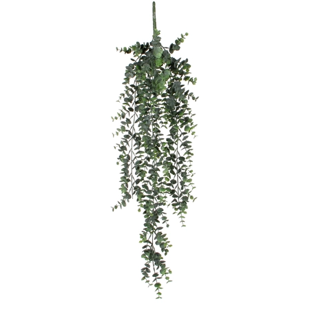 Eucalyptus Hanging Green - L78Xw22Xh5Cm - image 1