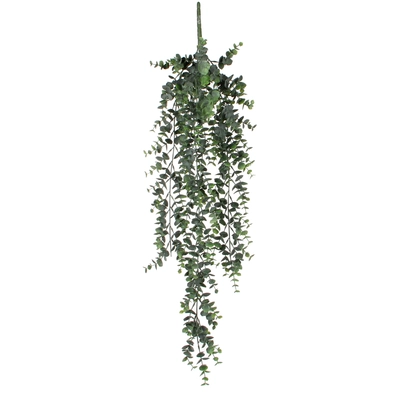 Eucalyptus Hanging Green - L78Xw22Xh5Cm