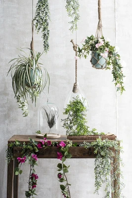 Eucalyptus Hanging Green - L78Xw22Xh5Cm - image 5