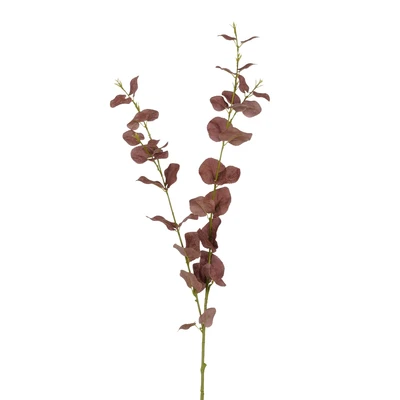 Eucalyptus Spray Bordeaux  L94Cm