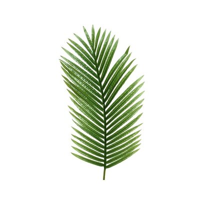 Fern On Stem Plastic H111.00cm