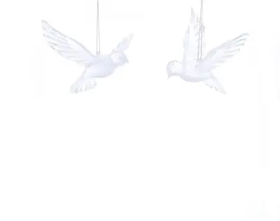 FL 10Cm 2 Asstd Clear Doves With Silver Detail