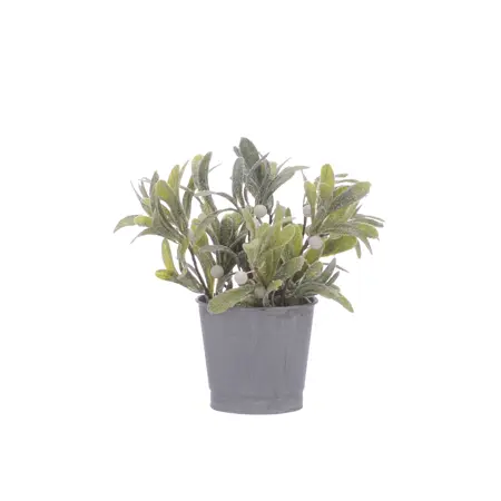 FL 20Cm Green Mistletoe With White Berries In Pot
